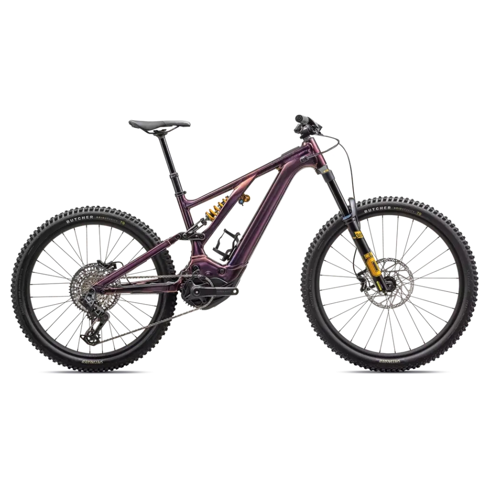 2024 Specialized Levo Alloy Öhlins Coil LTD Mountain Bike