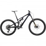 2024 Specialized Stumpjumper EVO Expert T-Type Mountain Bike