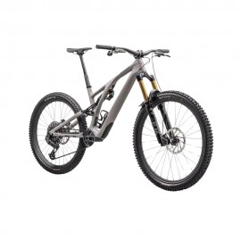 2024 Specialized Stumpjumper EVO Pro T-Type Mountain Bike