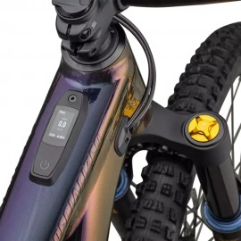 2024 Specialized Turbo Levo Alloy Öhlins Coil LTD Mountain Bike