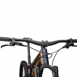 2024 Specialized Turbo Levo Alloy Öhlins Coil LTD Mountain Bike