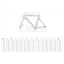 2025 Bianchi OLTRE COMP - 105 Di2 - Carbon Road Bike