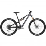 2025 Canyon Neuron CF LTD 