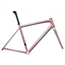 2025 Specialized Aethos Frameset