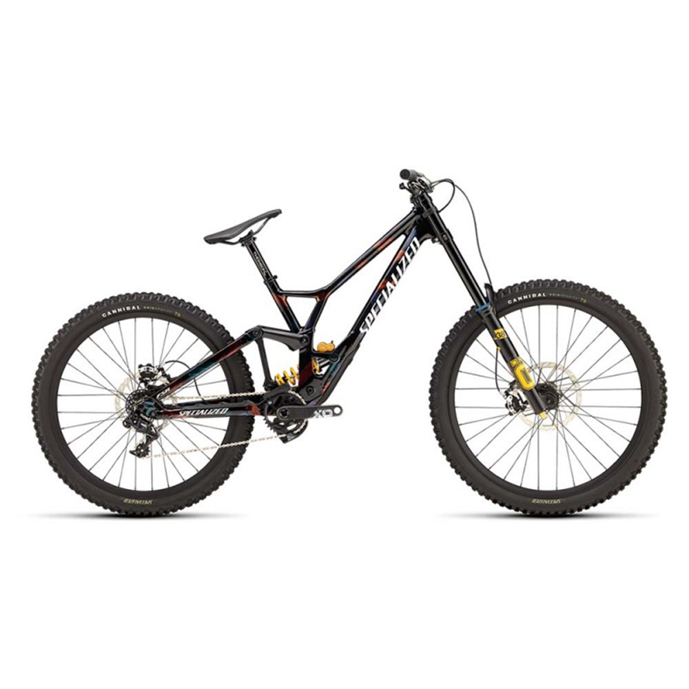 2025 Specialized Demo Race Mountain Bike