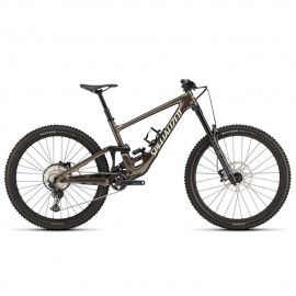 2025 Specialized Enduro Comp Mountain Bike
