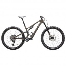 2025 Specialized Stumpjumper 15 Expert Mountain Bike