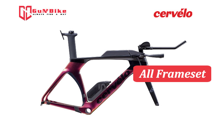 Triathlon Frames